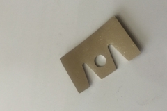 PRRM-06
